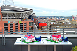 LADY 12 CELEBRITY FASHION SHOW